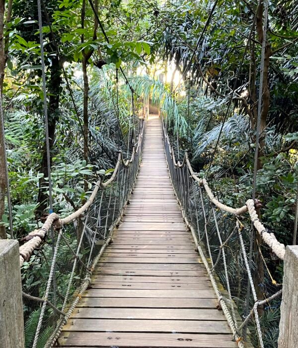 Подвесной мост в Калеруэга