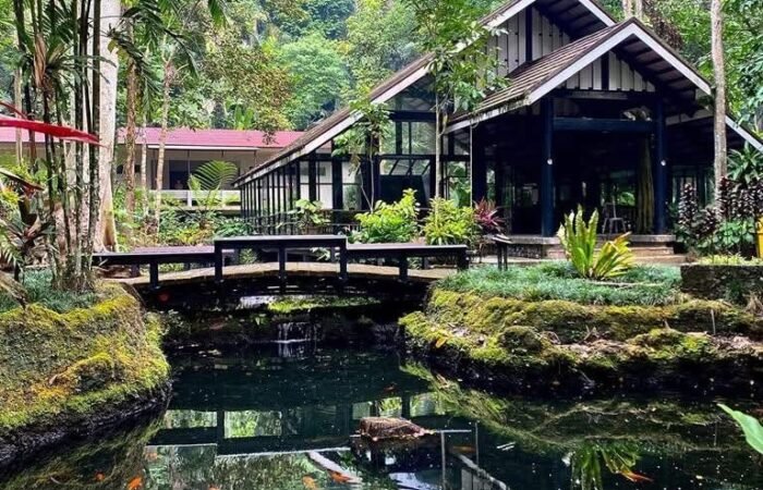 Затерянная долина